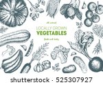 vegetables top view frame.... | Shutterstock .eps vector #525307927