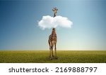 Small photo of alone wild giraffe on green field. Extinction and ecology, environment protection ( Red List ) concept
