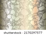 luxury golden  pearl  silver... | Shutterstock .eps vector #2170297577