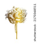 hand draw golden rose flower in ... | Shutterstock .eps vector #2170368511