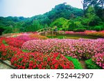 Flower Garden On Doi Inthanon ...