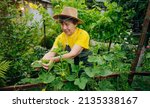 A Female Gardener Works In Her...