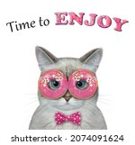 Small photo of An ashen cat in a bow tie wears pink donut glasses. Time to enjoy. White background. Isolated.