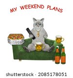 Small photo of An ashen cat with beer and pizza relaxes on a green divan. My weekend plans. White background. Isolated.
