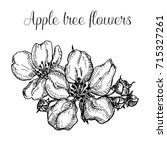 hand drawn apple tree flowers | Shutterstock . vector #715327261