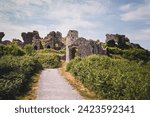 Small photo of Old building. Castle ruins. Castle ruins in summer time. Old life ruins. Ancient times. Ruins of Medieval Castle. Tourist places in Ireland. Tourism in Ireland. Rock of Dunamase. Celtic Fortification.