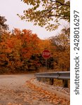 Small photo of Peoria Illinois USA- October 28th 2023: Fall Leaves Road