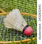 Small photo of The badminton birdie, propelled by the shuttlecock, is a delicate dance on the court, where each chirp tells a story. Its feathers flutter as if urging, "Fly, fly!" - and with every rally, a new tale