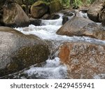 Small photo of nature, rock ,watercourse in green forest