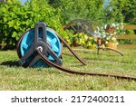 Garden hose reel and sprinkler for watering plants and flowers are on a green lawn bathed in sunlight. 