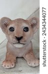 Small photo of sad-faced lion cub. perhaps separated from its parent