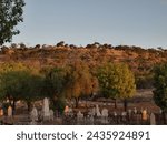 Small photo of An old Country graveyard at sunset where some of the gravestones are highlighted by the setting sun giving an unnatural feel to the scene, a bit ghostly for some that wander to close in the shadows.