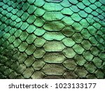 Python skin texture. Green python skin. An animated background. Texture of snake leather skin.