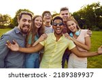 Group of young diverse people enjoy free time in summer, meet up in the park and have fun all together. Bunch of six happy excited multi ethnic friends looking at the camera, smiling and laughing