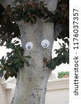 Small photo of Googly Eyes on a tree. funny Jiggle Eyes attached to a tree outside. Sense of humor.
