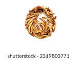 Mealworms are the larval form of the mealworm beetle. Tenebrio Molitor a species of darkling beetle. Mealworms are used for food for pets or as bait by fishermen. Mealworms are edible for humans. 