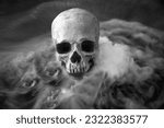 Small photo of Human skull. Spooky Human Skull in Smoke. Evil Human Skull. Cannibalism. Halloween. Scary Skull. Grim reaper.