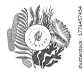 seaweed design template. hand... | Shutterstock .eps vector #1776457454