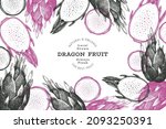 hand drawn dragon fruit design... | Shutterstock .eps vector #2093250391