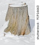 Tree Stump In Winter Snow