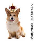 Small photo of Corgi dog wearing a crown for the royal jubilee celebration cutout on a white background