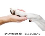 Human Hand Holding Dog Paw....
