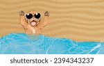 Small photo of Happy Mastiff mastiff puppy wearing sunglasses lying at sunny beach. Empty space for text