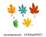 collection of maple and oak... | Shutterstock .eps vector #1935669937