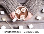 Hot chocolate with marshmallow in woman hand and sweater