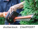 Gardener trimming overgrown green bush by electric hedge clippers. Selective focus, motion blur. Man cutting thuja in garden. Gardening at backyard. Unrecognizable person