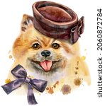 Cute Dog In Brown Hat. Dog T...
