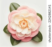 Camellia flower in a top view ...