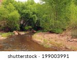 Beautiful Aravaipa Creek flows gently through thick trees in southeastern Arizona.