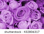 Purple roses in a wedding...