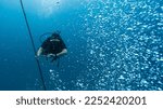 Small photo of professional diver checking his dive computer to ascend safely. holding on to a rope
