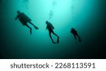 Small photo of silhouette of a technical dive guide and two tourists. cenote diving, unrecognizable people