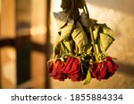 Dry Bouquet Of Red Roses Hang...
