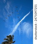 Birds flying through blue sky