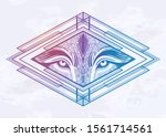 wolf eyes in a beautiful... | Shutterstock .eps vector #1561714561