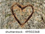 Heart Carved In Tree Trunk
