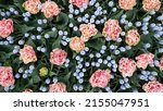 Flower Background   Bed Of...