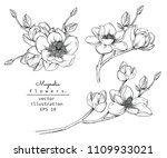 sketch floral botany collection.... | Shutterstock .eps vector #1109933021