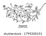 sketch floral decorative set.... | Shutterstock .eps vector #1795200151