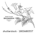 sketch floral decorative set.... | Shutterstock .eps vector #1803680557