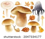 mushroom with autumn elements... | Shutterstock . vector #2047334177