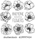 Anemone Flowers Drawing...