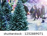  Sale Of Christmas Trees....