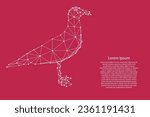 Seagull standing on its feet, seabird, from futuristic polygonal white lines on red viva magenta background 