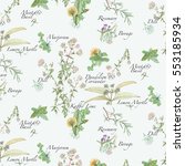 herbs pattern with written... | Shutterstock . vector #553185934