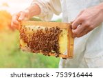 The beekeeper holds a honey...